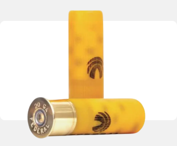 Shotgun