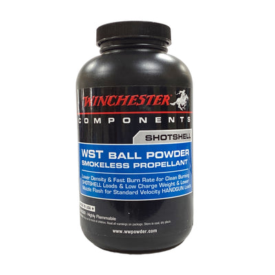 Winchester WST