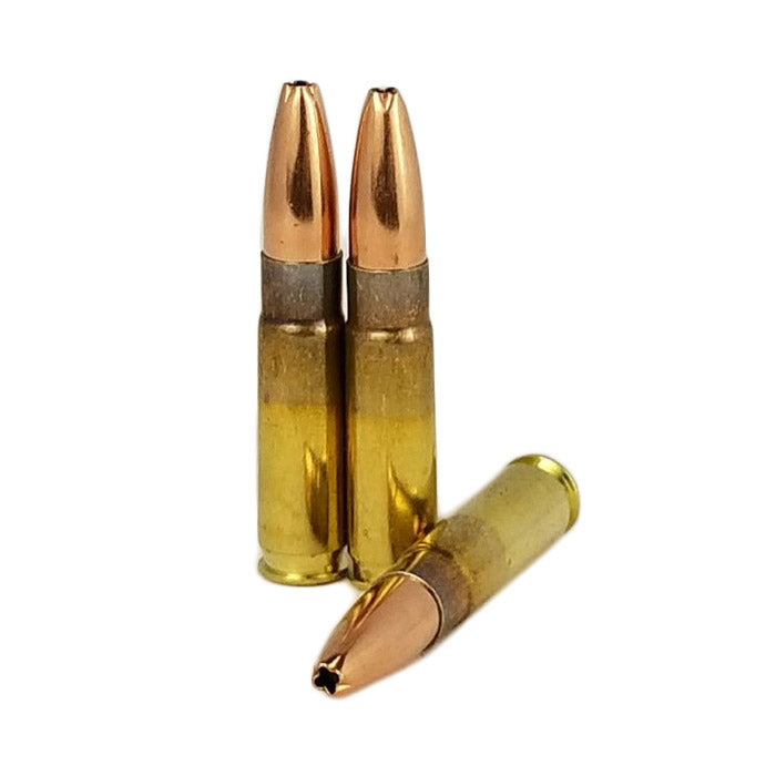 300 Blackout Hollow Point/Defensive