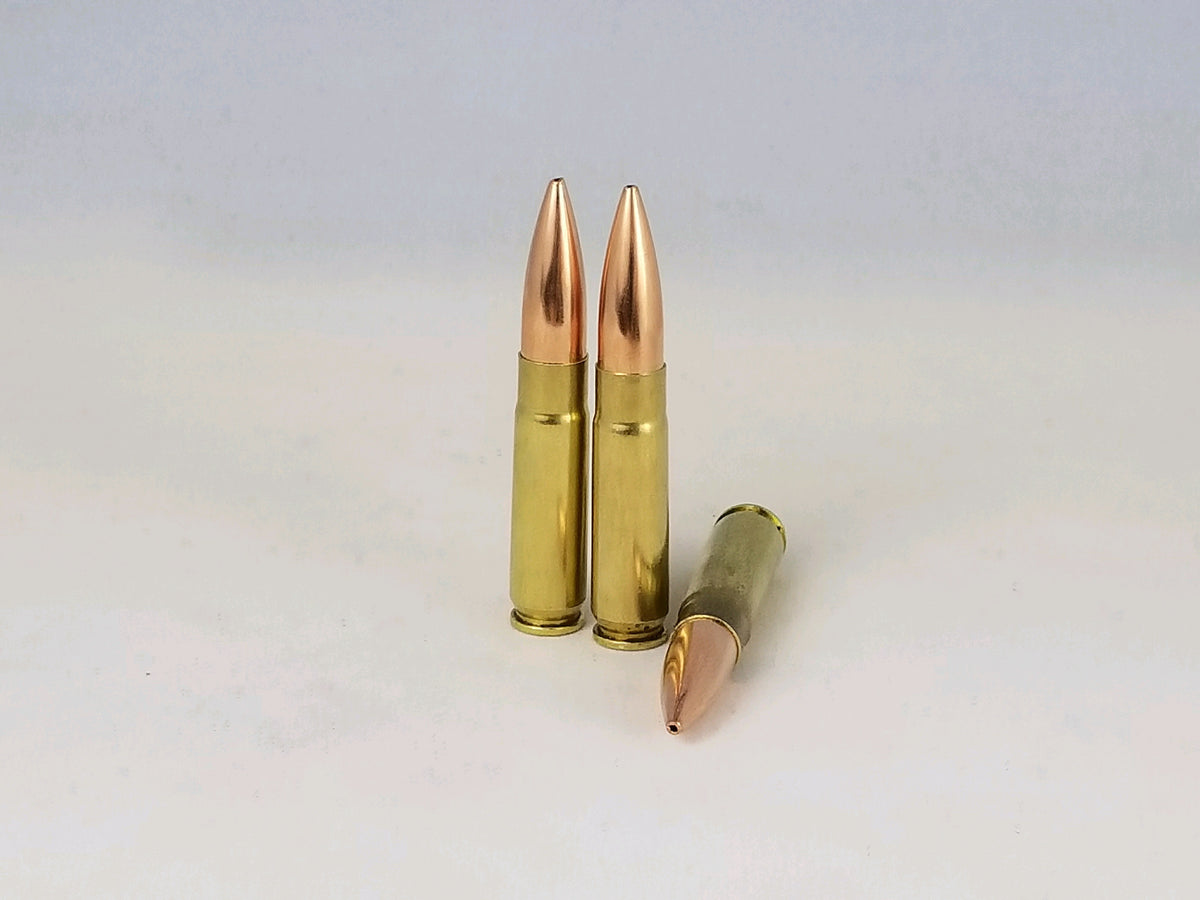 300 Blackout Hollow Point/Defensive